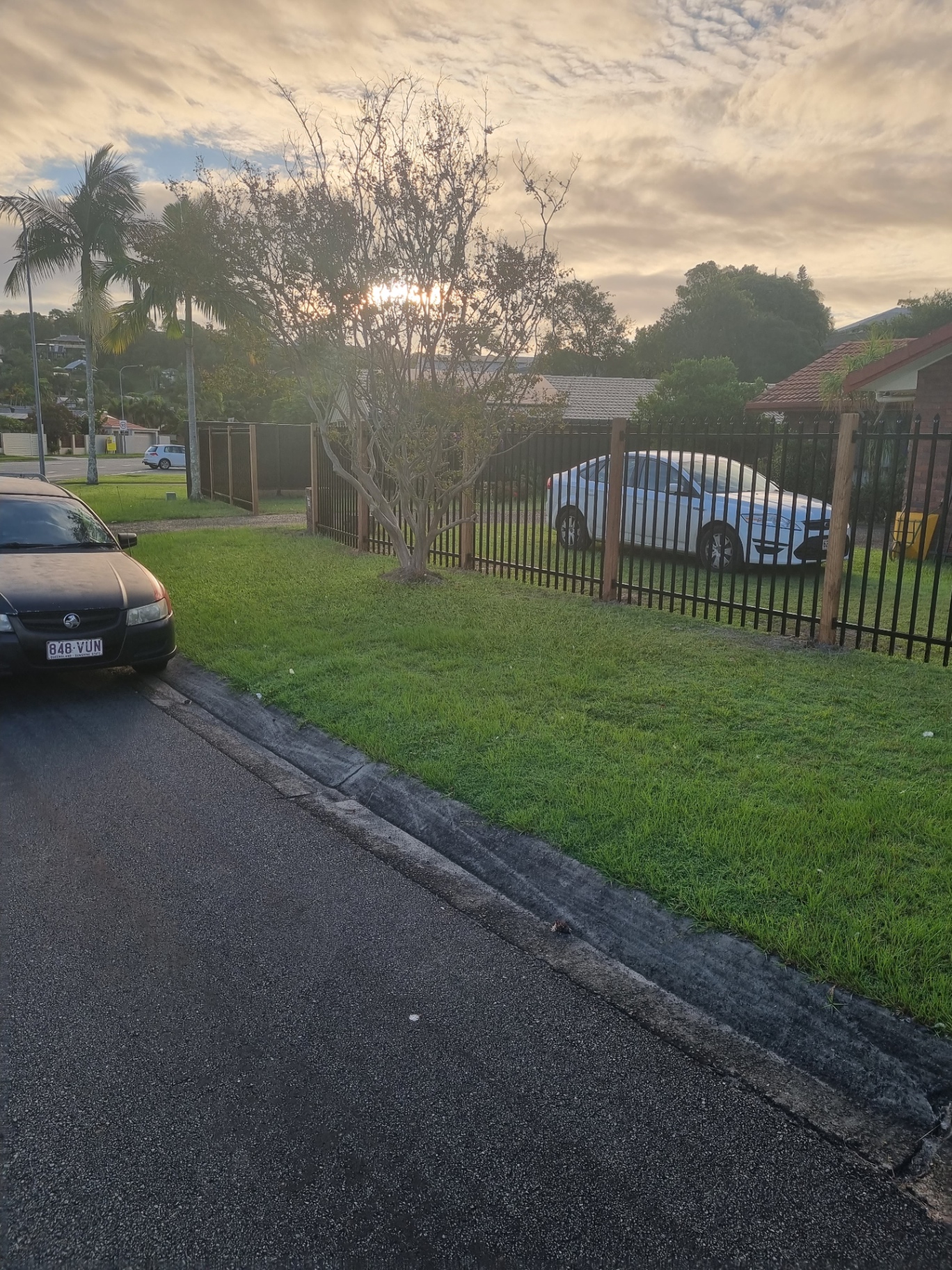 Long black steel security fence run along a front yard with hardwood posts and clear sightlines.